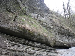 DSC00025.JPG