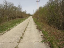 DSC00192.JPG