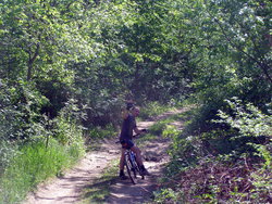 P1010006.jpg
