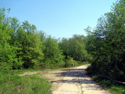 P1010007.jpg