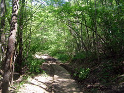 P1010009.jpg