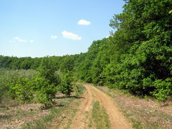 P1010029.jpg