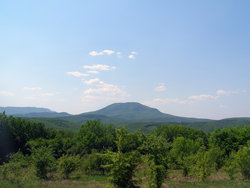 P1010032.jpg