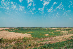 DSC_2868.jpg