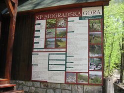 нац.парк плакат.jpg