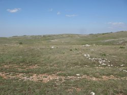 IMG_5326 (Копировать).JPG