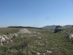 IMG_5334 (Копировать).JPG