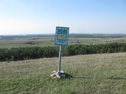 IMG_5339 (Копировать).JPG