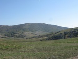 IMG_5341 (Копировать).JPG