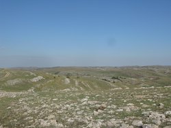 IMG_5345 (Копировать).JPG