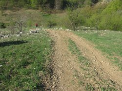 IMG_5358 (Копировать).JPG