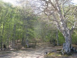 IMG_5360 (Копировать).JPG