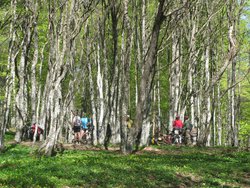 IMG_5362 (Копировать).JPG