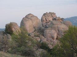 IMG_5484 (Копировать).JPG