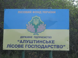 IMG_5539_изменить размер.JPG