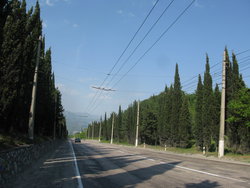 IMG_5567_изменить размер.JPG