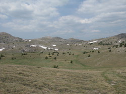 IMG_5630_изменить размер.JPG