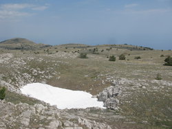 IMG_5634_изменить размер.JPG