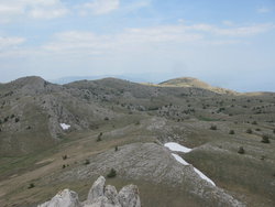 IMG_5650_изменить размер.JPG