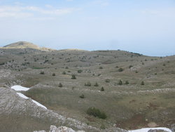 IMG_5651_изменить размер.JPG