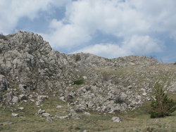 IMG_5654_изменить размер.JPG