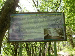 P1020254_изменить размер.JPG