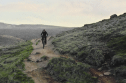 09.gif