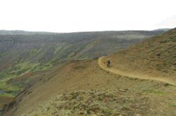 11.gif