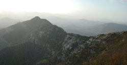 DSC02897.JPG