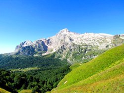 IMG_6675.JPG