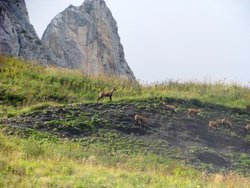 IMG_6115.JPG