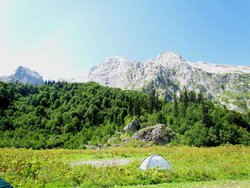 IMG_6156.JPG