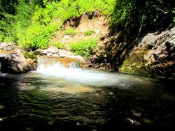 IMG_6204.JPG