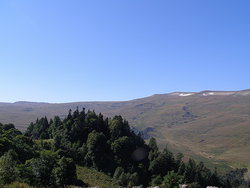 P1010005.jpg