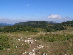 P1010013.jpg