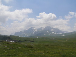 P1010032.jpg
