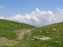 P1010052.jpg
