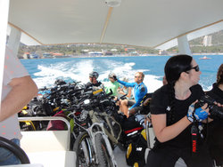 DSC02296.JPG (335.85 Кб) Просмотров: 2675 DSC02296.JPG