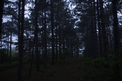 _IGP4461.JPG (404.24 Кб) Просмотров: 2675 _IGP4461.JPG