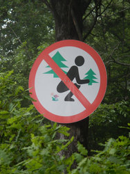 DSCN5904.JPG (260.72 Кб) Просмотров: 2675 DSCN5904.JPG