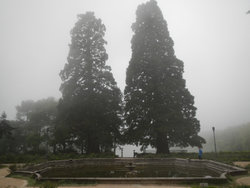 DSCN6003.JPG (226.66 Кб) Просмотров: 2675 DSCN6003.JPG