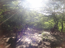 DSC00990.JPG (585.88 Кб) Просмотров: 2675 DSC00990.JPG