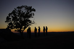 _IGP5239.JPG (154.19 Кб) Просмотров: 2675 _IGP5239.JPG