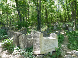 DSCN6336.JPG (821.45 Кб) Просмотров: 2675 DSCN6336.JPG