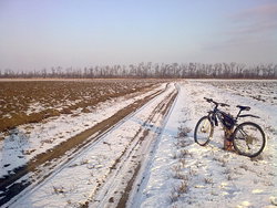 0183.jpg (439.73 Кб) Просмотров: 2065 0183.jpg